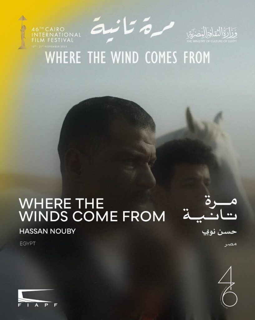 اليوم.. عرض ستة أفلام قصيرة ضمن "البانوراما المصرية" في مهرجان القاهرة السينمائي 6 فيلم مرة تانية