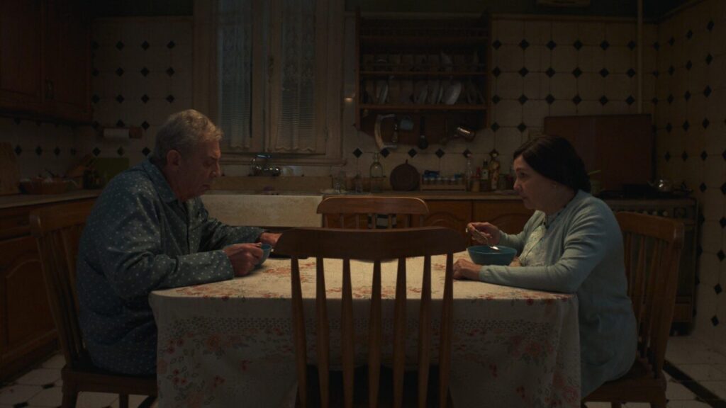 محمود حميدة وشيرين