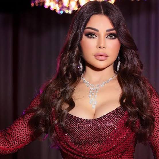 هيفاء وهبي تطالب بتعويض 5 ملايين جنيه بعد استغلال فيديوهاتها