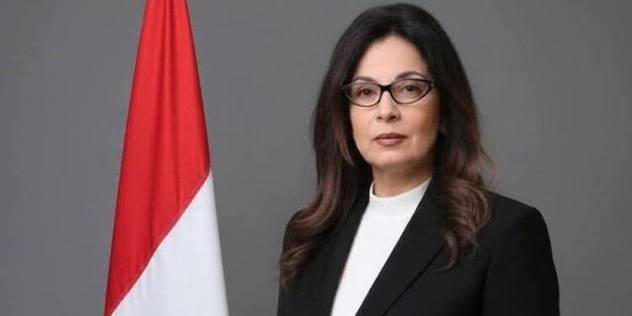 وزيرة الثقافة المصرية جيهان زكي وزيرة الثقافة المصرية جيهان زكي